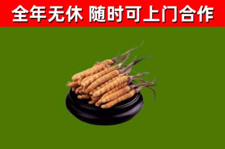 防城区烟酒回收冬虫夏草.jpg